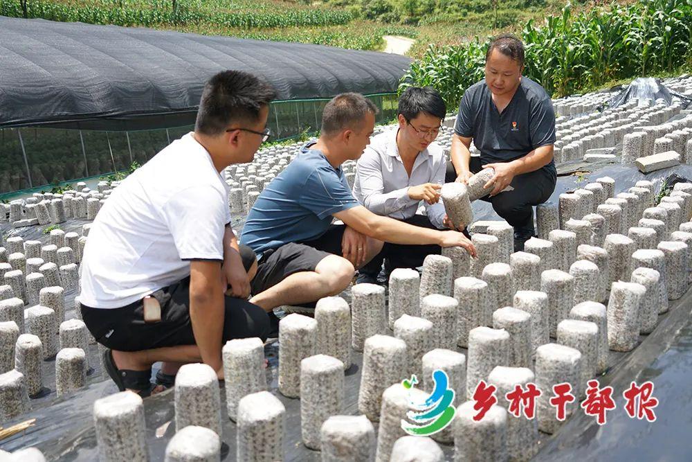 織金黨建論壇最新資訊,織金黨建論壇最新資訊，探討黨建新動(dòng)向與觀點(diǎn)