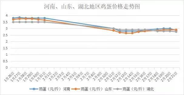 今日全國雞蛋價格行情走勢分析與論述