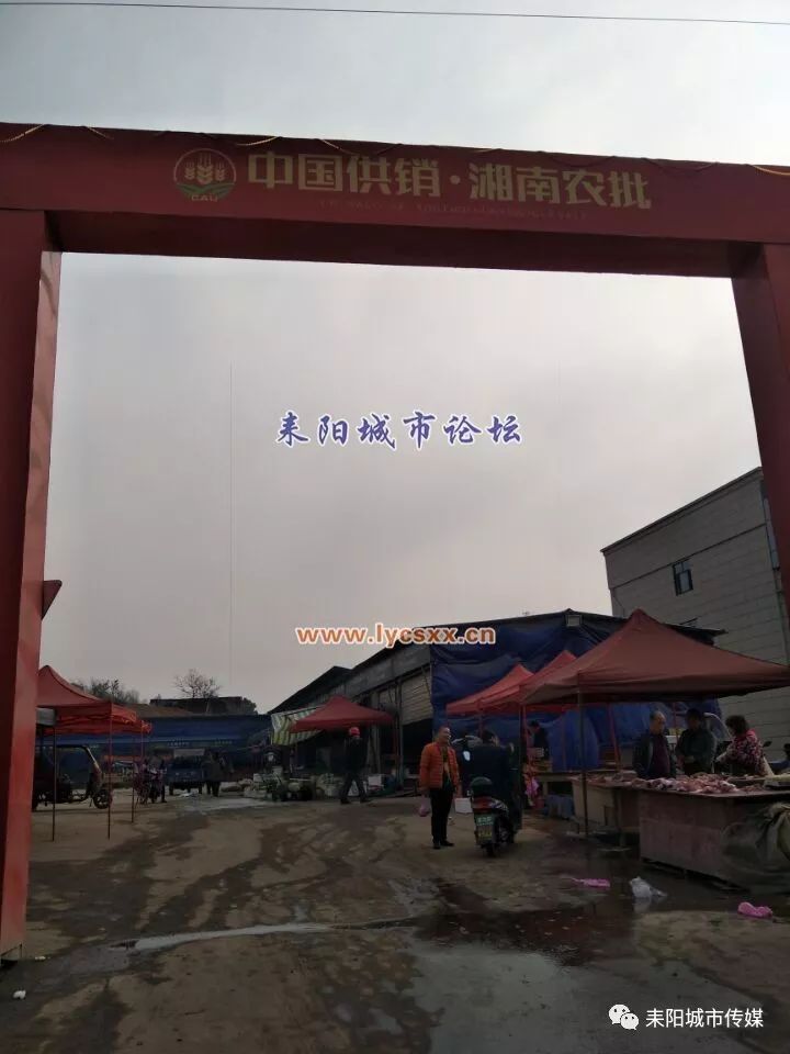湘南大市場(chǎng)最新動(dòng)態(tài)，一場(chǎng)溫馨的市場(chǎng)奇遇探索