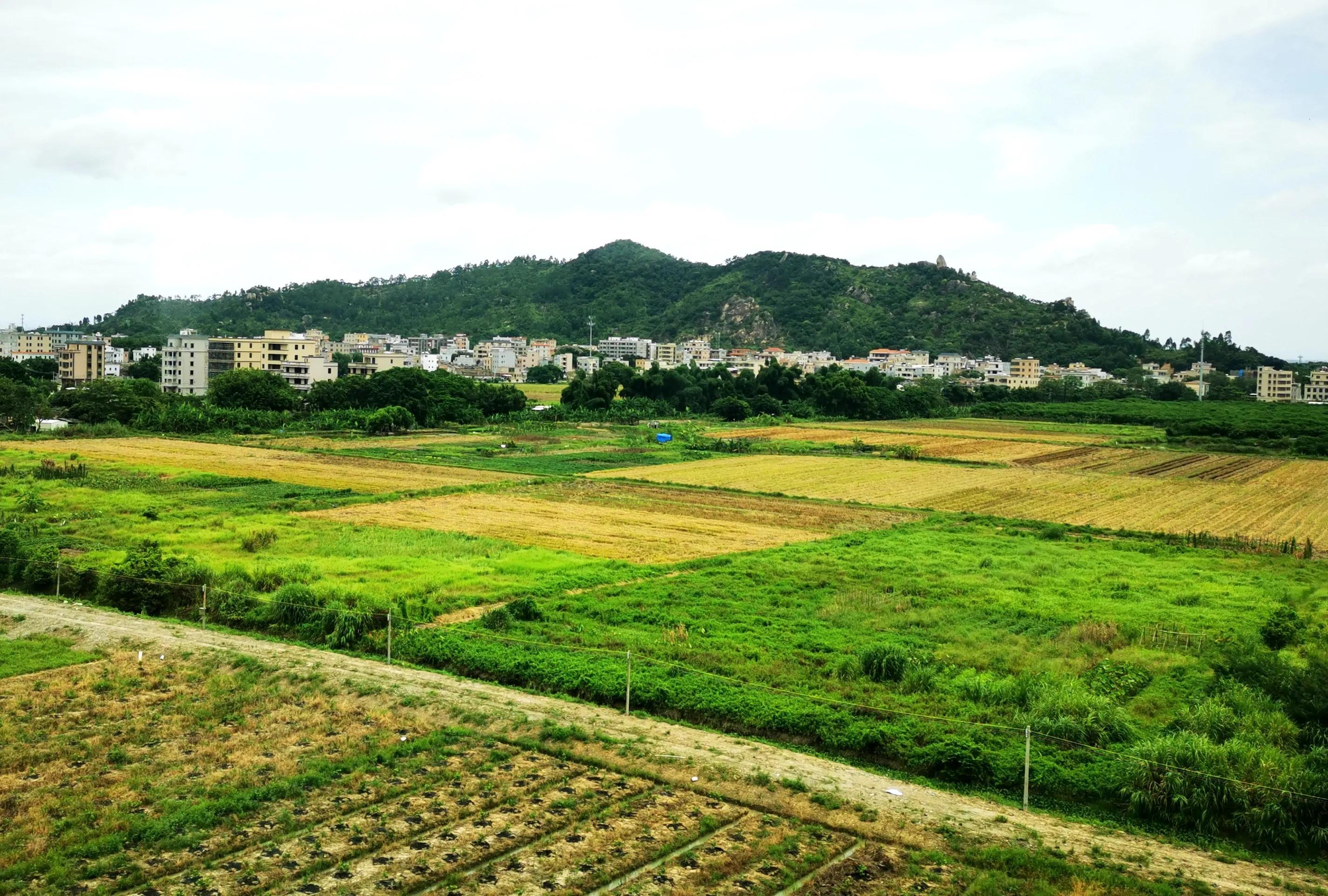 廈門至深圳高鐵提速最新動(dòng)態(tài),廈門至深圳高鐵提速最新動(dòng)態(tài)，速度與情感的雙重旅程