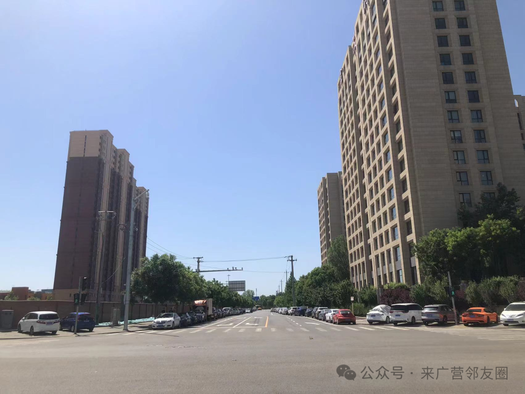 來廣營北路最新動(dòng)態(tài)與溫馨日常一覽