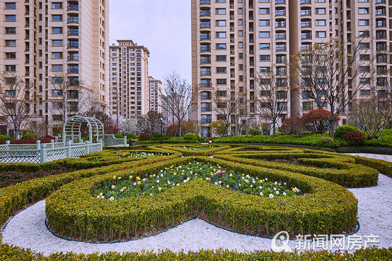 魯信隨珠花園最新住宅價格揭秘,變化的力量與自信的源泉