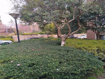 常熟老街房?jī)r(jià)動(dòng)態(tài)與溫情故事回顧
