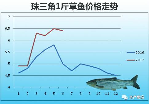 最新草魚市價(jià),最新草魚市價(jià)大揭秘??