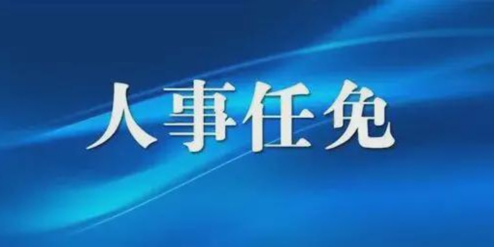 廣西最新人事任免,廣西最新人事任免背后的溫馨故事