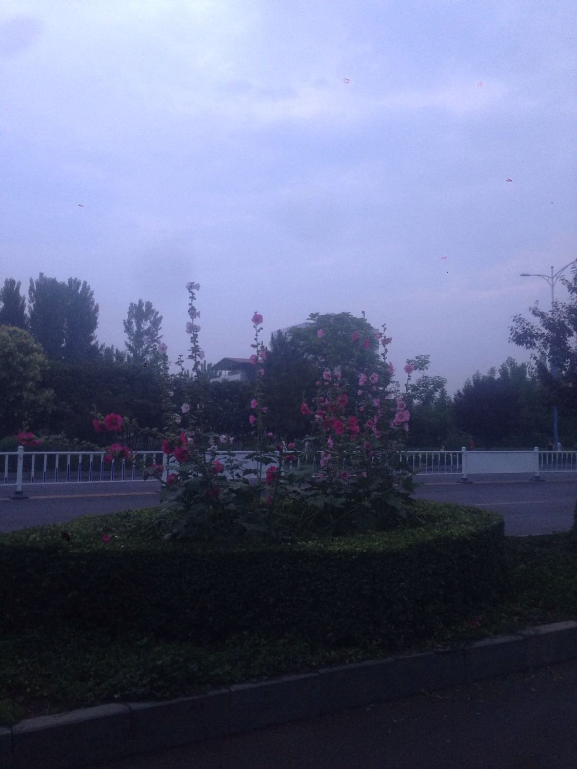 寶豐最新氣象預(yù)報更新??
