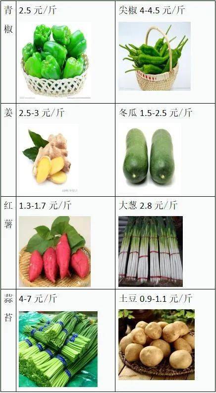 今日青椒行情，深度觀察背景、事件與地位