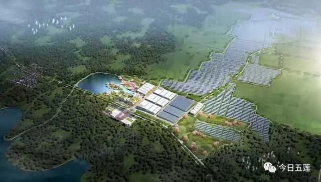 日照五蓮最新動態(tài)更新，最新資訊一覽