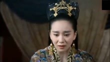 朵妃最新視頻深度解析與個(gè)人觀點(diǎn)分享