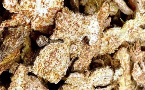 蒼術(shù)現(xiàn)在最新價(jià)格,蒼術(shù)最新價(jià)格探析