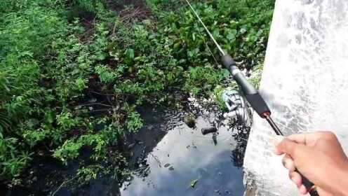 建筑材料（不含危險化學(xué)品） 第203頁