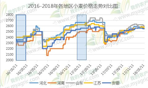 小麥價(jià)格最新行情及分析