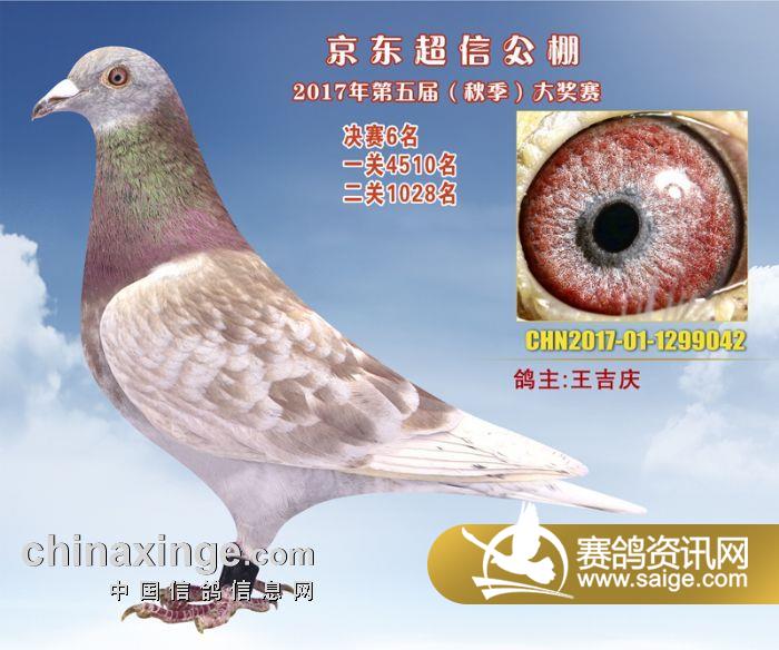 超信公棚最新動態(tài)及觀點論述揭秘