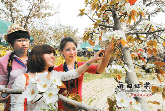 露泣梨花白如玉最新章節(jié)，絕美故事，引人入勝