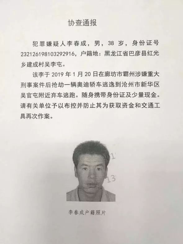 滄州佛頭盜竊案最新進展揭秘