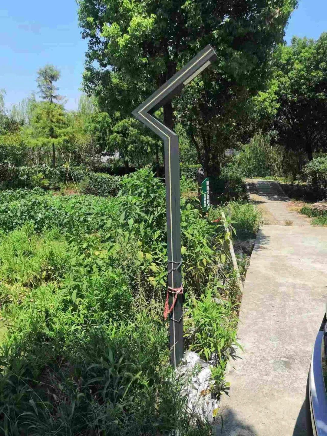 追夢(mèng)棲息，杭州塘棲租房最新動(dòng)態(tài)與生活勵(lì)志之旅