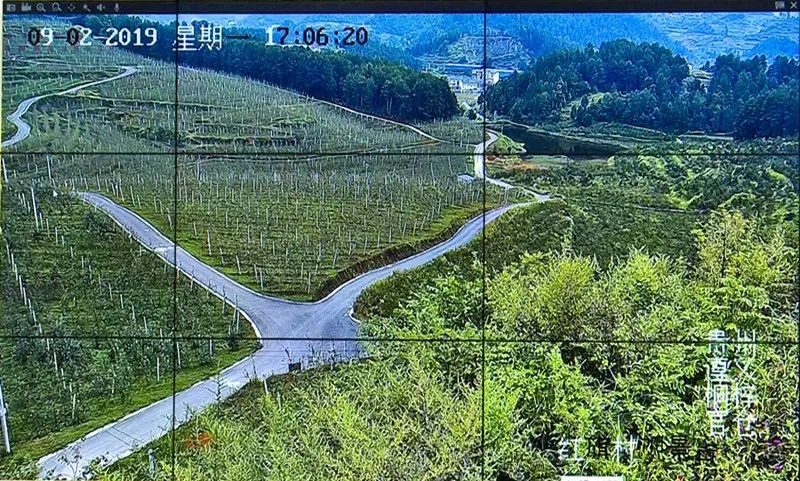 桐梓丁月高最新動(dòng)態(tài)更新