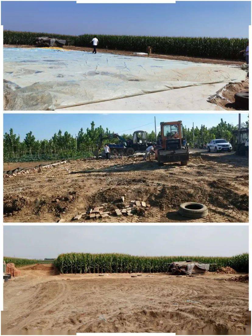 曲周最新違建問題審視與觀點表達