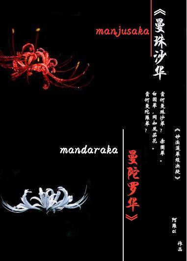 最新沙華現(xiàn)象深度解析與觀點(diǎn)探討