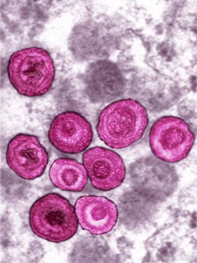 紫金最新肺炎，自然美景中的探索之旅
