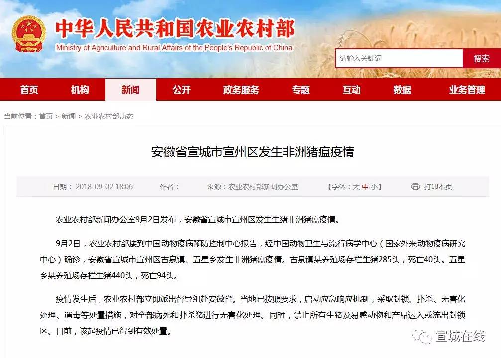 疫情最新動態(tài)與小巷深處的特色小店故事