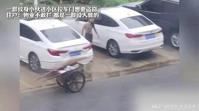 巷弄深處的神秘小店揭示最新拉車(chē)門(mén)盜竊背后的故事