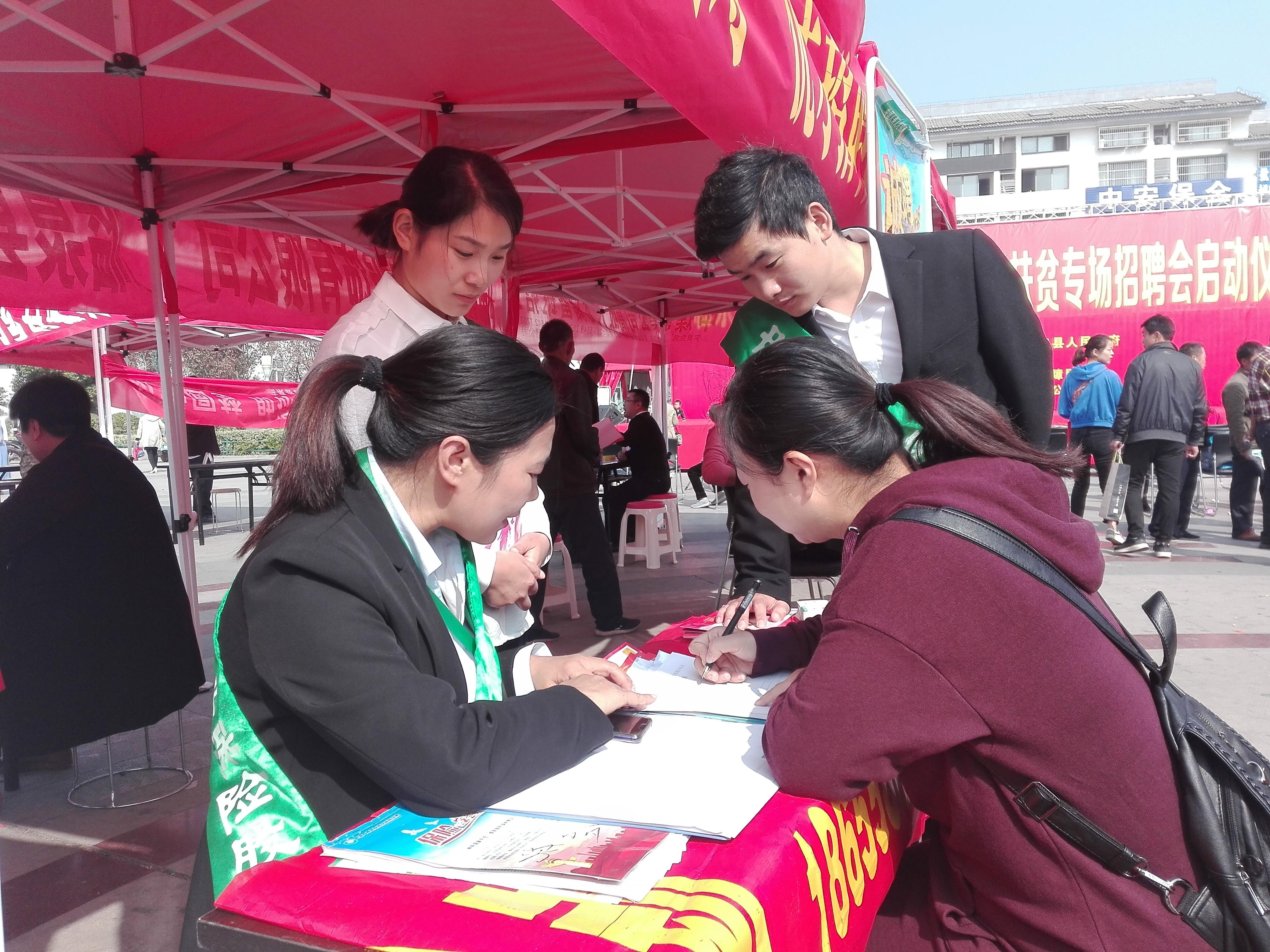 臨泉最新招聘信息概覽與觀點(diǎn)論述