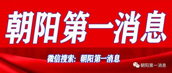 盤(pán)錦最新招聘動(dòng)態(tài)及觀點(diǎn)論述