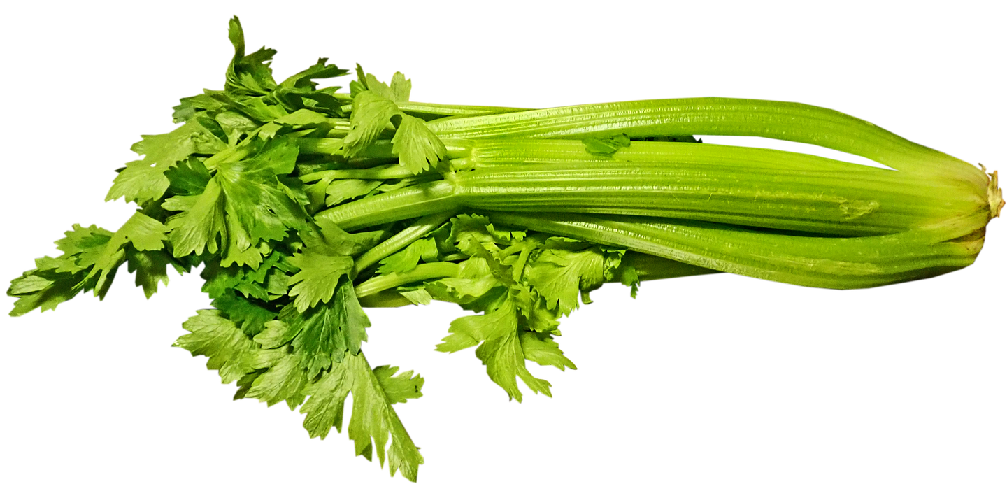 芹菜價格最新行情及分析