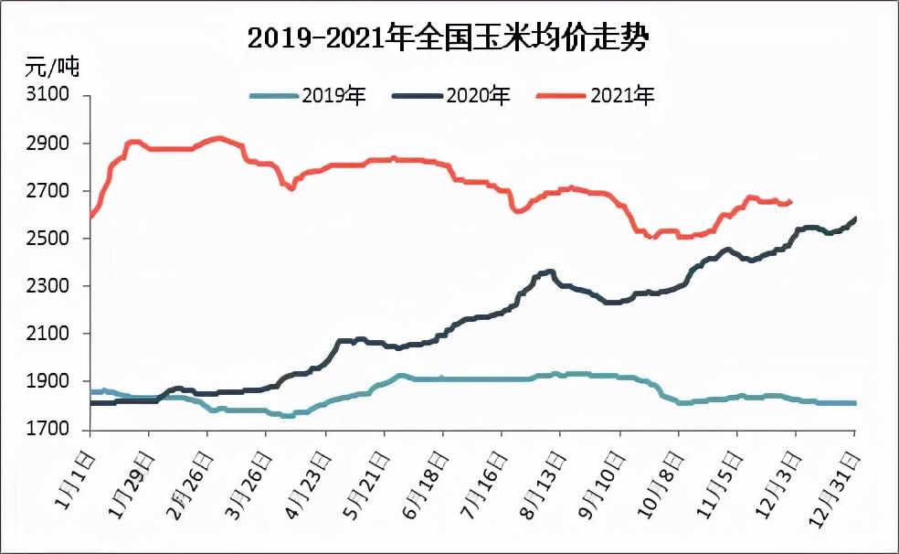 全國玉米最新價(jià)格及市場走勢分析與預(yù)測報(bào)告