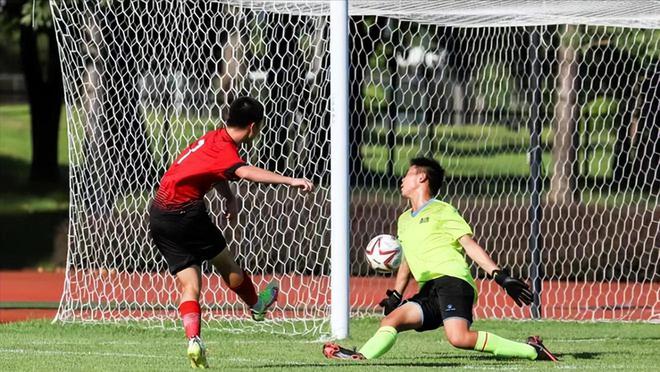 全球足球最新動態(tài)與影響速遞