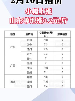 臺(tái)山市最新豬價(jià)概覽