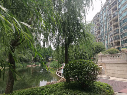 漢陽恒大綠洲最新房價動態(tài)，變化中的學(xué)習(xí)與自信的力量