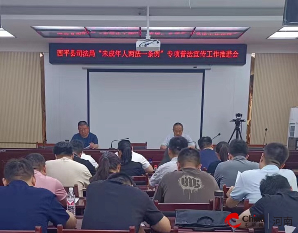 河南西平新聞最新動態(tài)，小巷深處的獨特風(fēng)味