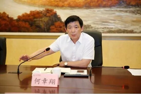 鎮(zhèn)江雷志強(qiáng)的最新任職，多維度視角下的深入探討