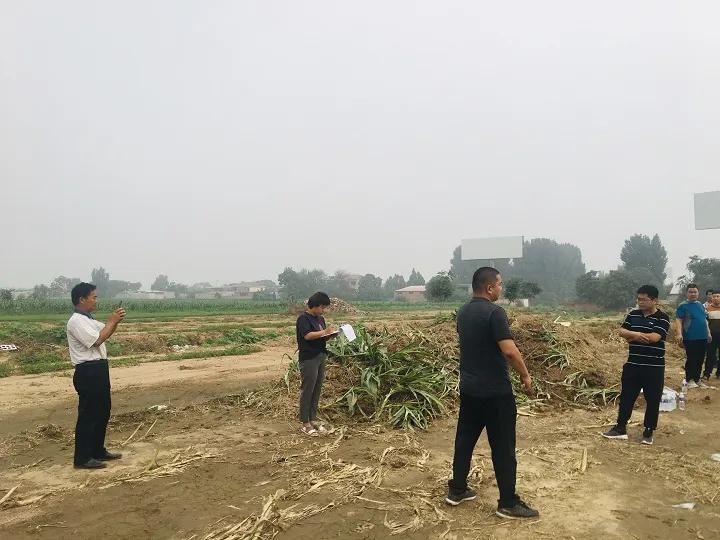 永年區(qū)最新工程項(xiàng)目，時代印記與未來展望之路